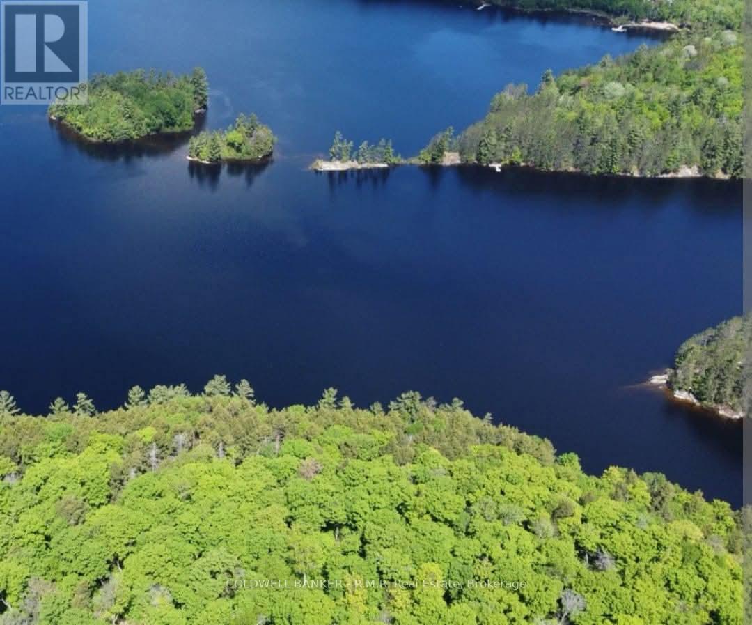 1756 Chandler Drive, Dysart Et Al, Ontario  K0M 1S0 - Photo 17 - X13746538