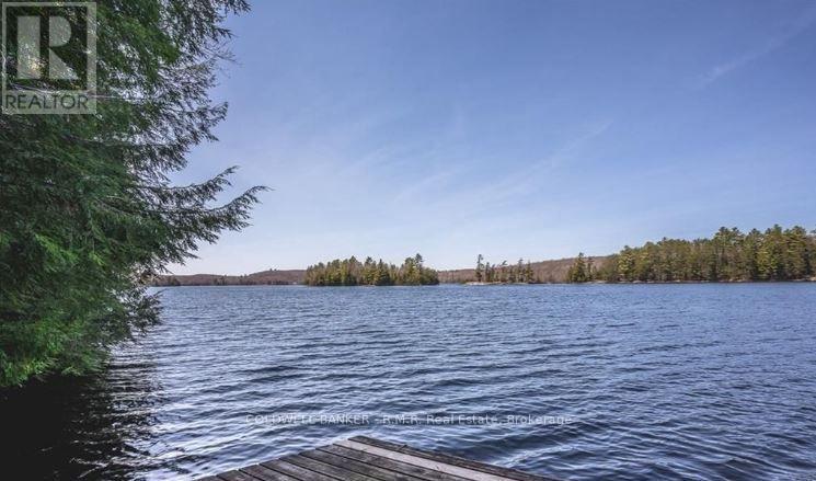 1756 Chandler Drive, Dysart Et Al, Ontario  K0M 1S0 - Photo 4 - X13746538