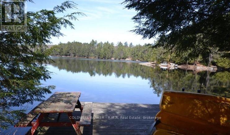 1756 Chandler Drive, Dysart Et Al, Ontario  K0M 1S0 - Photo 6 - X13746538