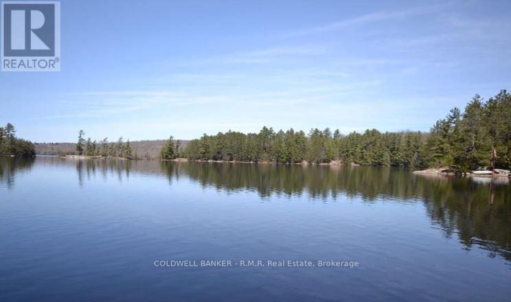 1756 Chandler Drive, Dysart Et Al, Ontario  K0M 1S0 - Photo 7 - X13746538