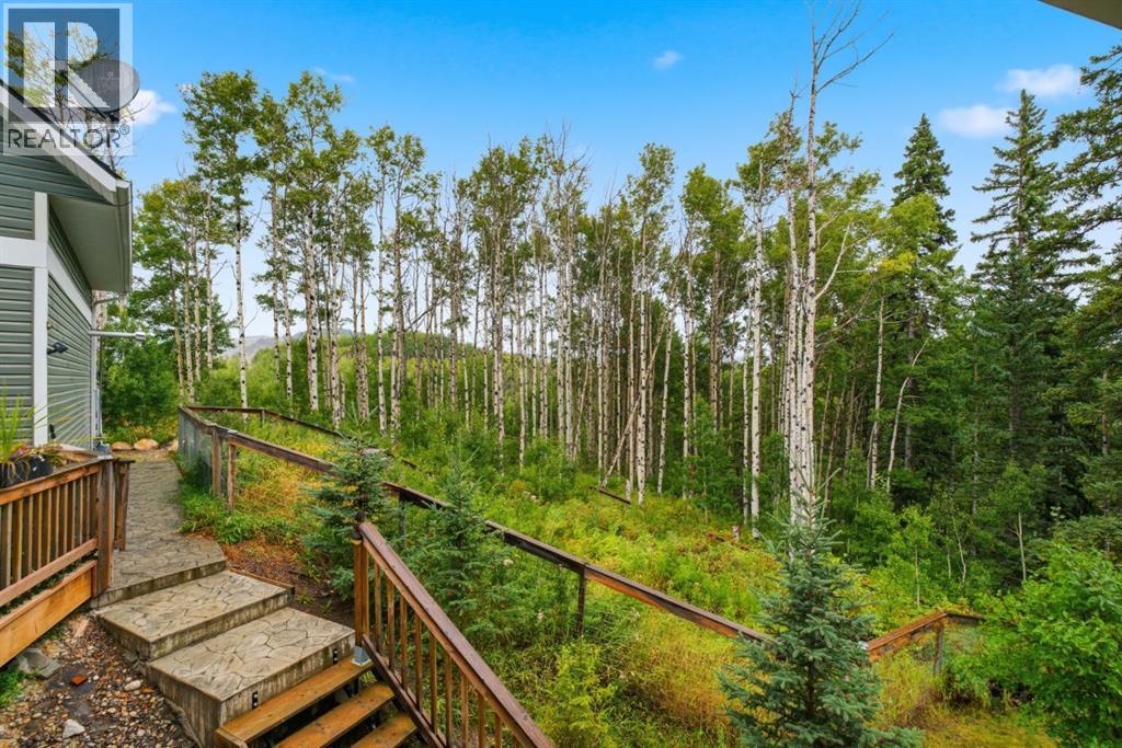 263070 Beaupre Creek Road, Rural Rocky View County, Alberta  T4C 1B1 - Photo 3 - A2341650