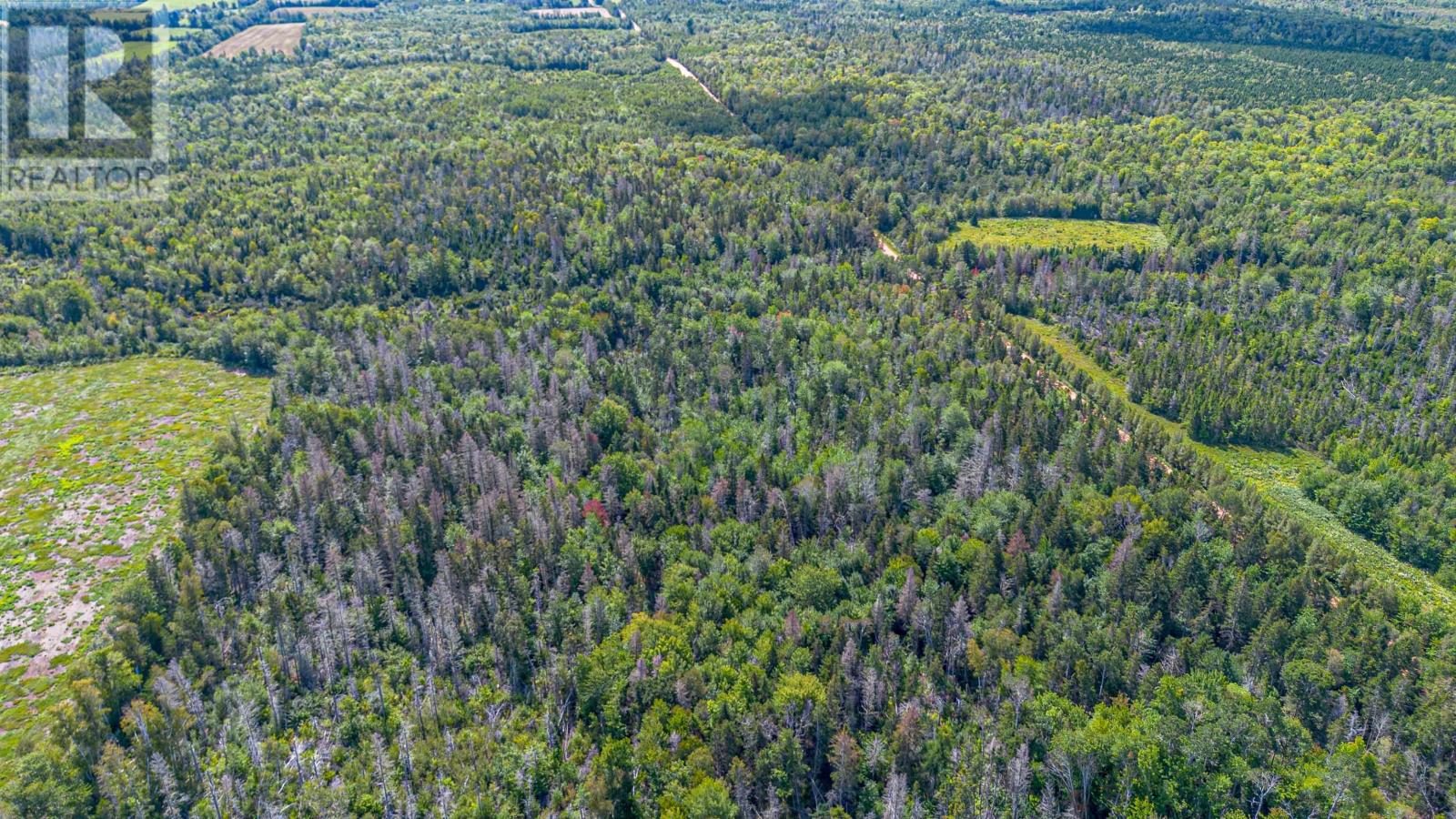 611 Line Road, Milltown Cross, Prince Edward Island C0A 1R0 - Photo 31 - 202622480