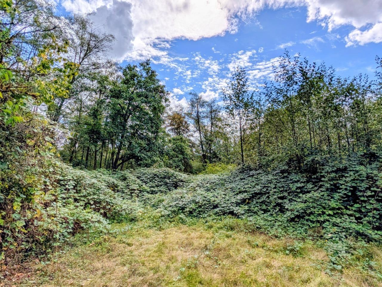 17118 96 Avenue, Surrey, British Columbia  V4N 6H3 - Photo 7 - R3154437