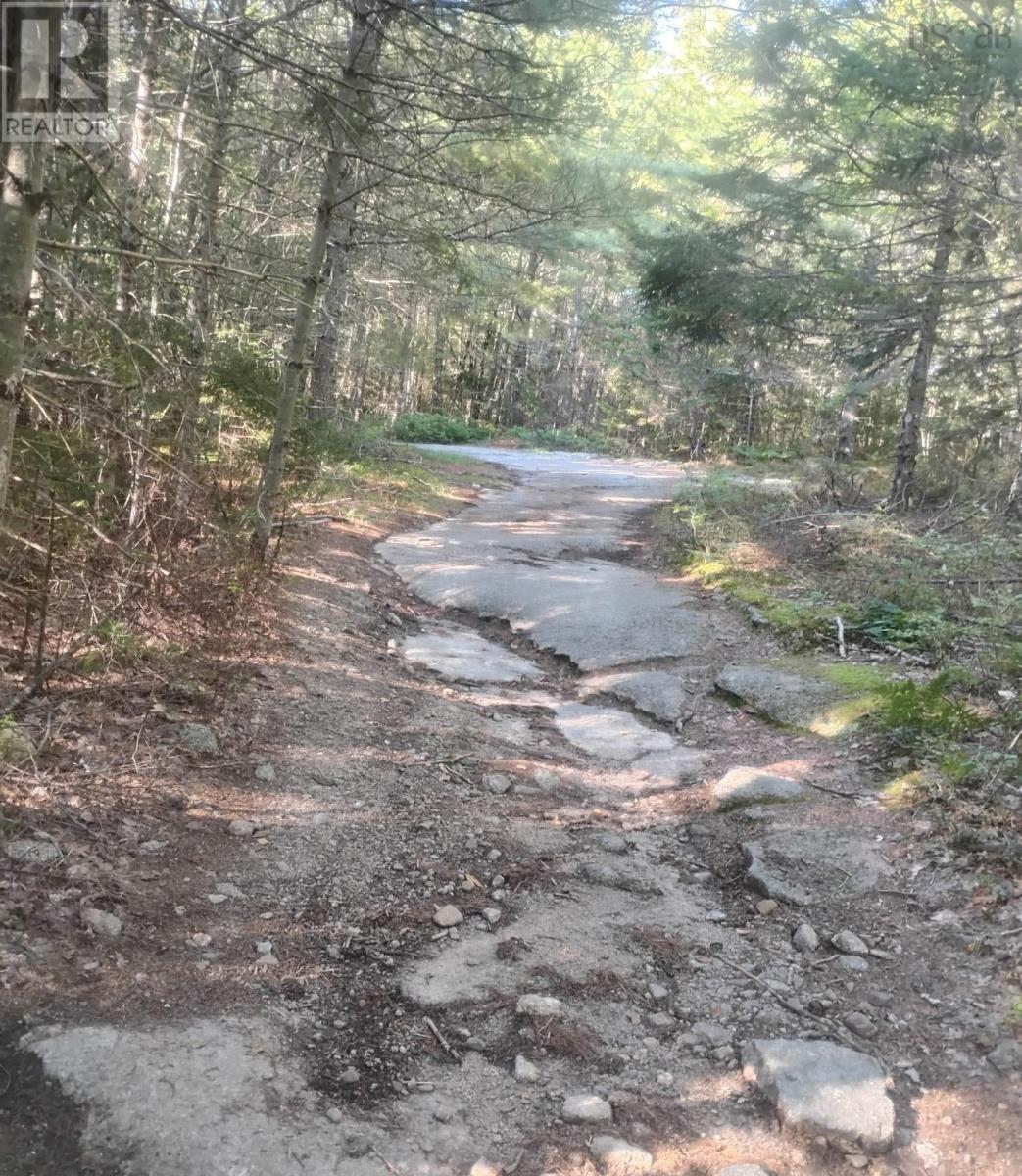 Lot 17 Tupper Lake, Westfield, Nova Scotia  B0T 1B0 - Photo 10 - 202622482