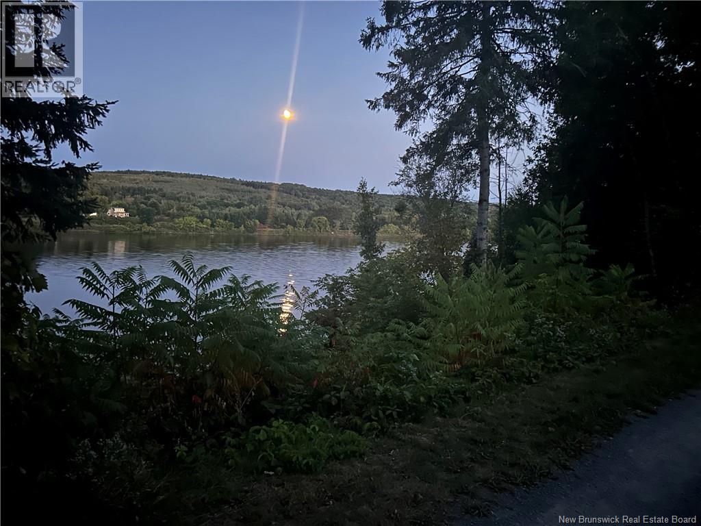 123 Bridge Street, Woodstock, New Brunswick  E7M 5Y7 - Photo 49 - NB147167