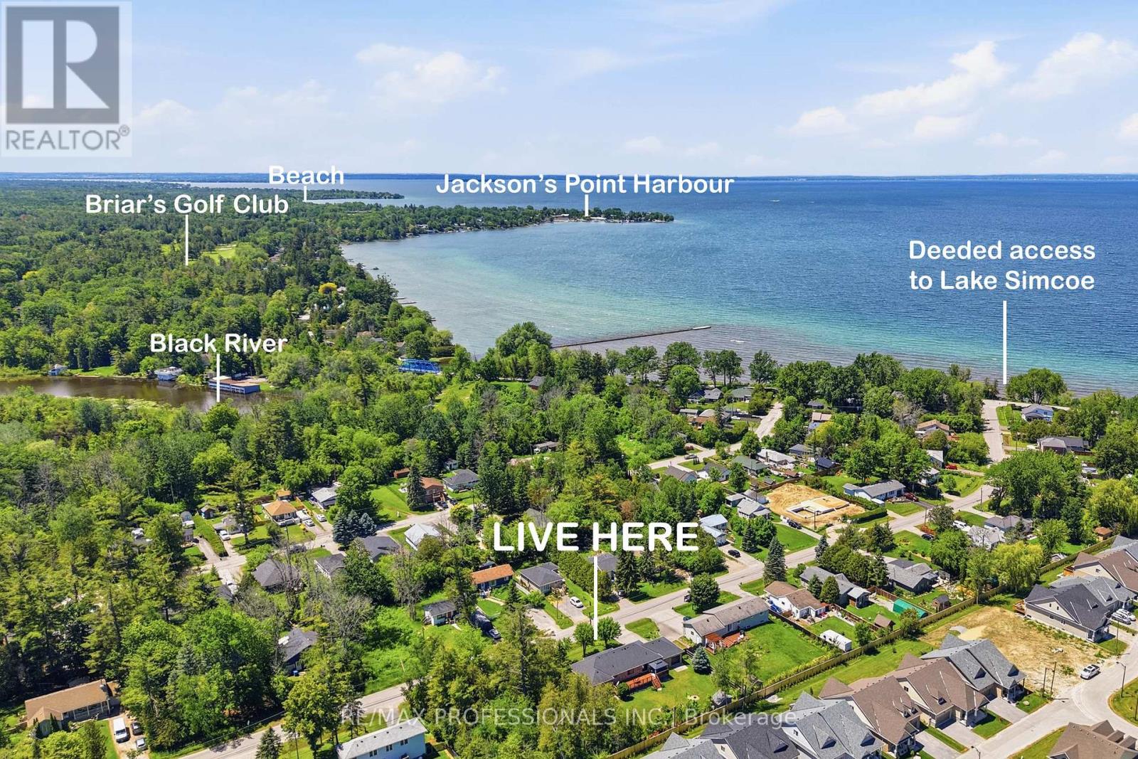 101 Maple Avenue, Georgina, Ontario  L0E 1R0 - Photo 4 - N13746900