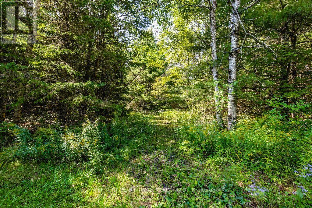 1327 Monck Road, Ramara, Ontario  L3V 0P6 - Photo 11 - S13746958