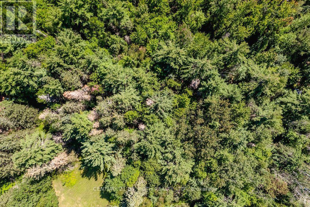 1327 Monck Road, Ramara, Ontario  L3V 0P6 - Photo 6 - S13746958
