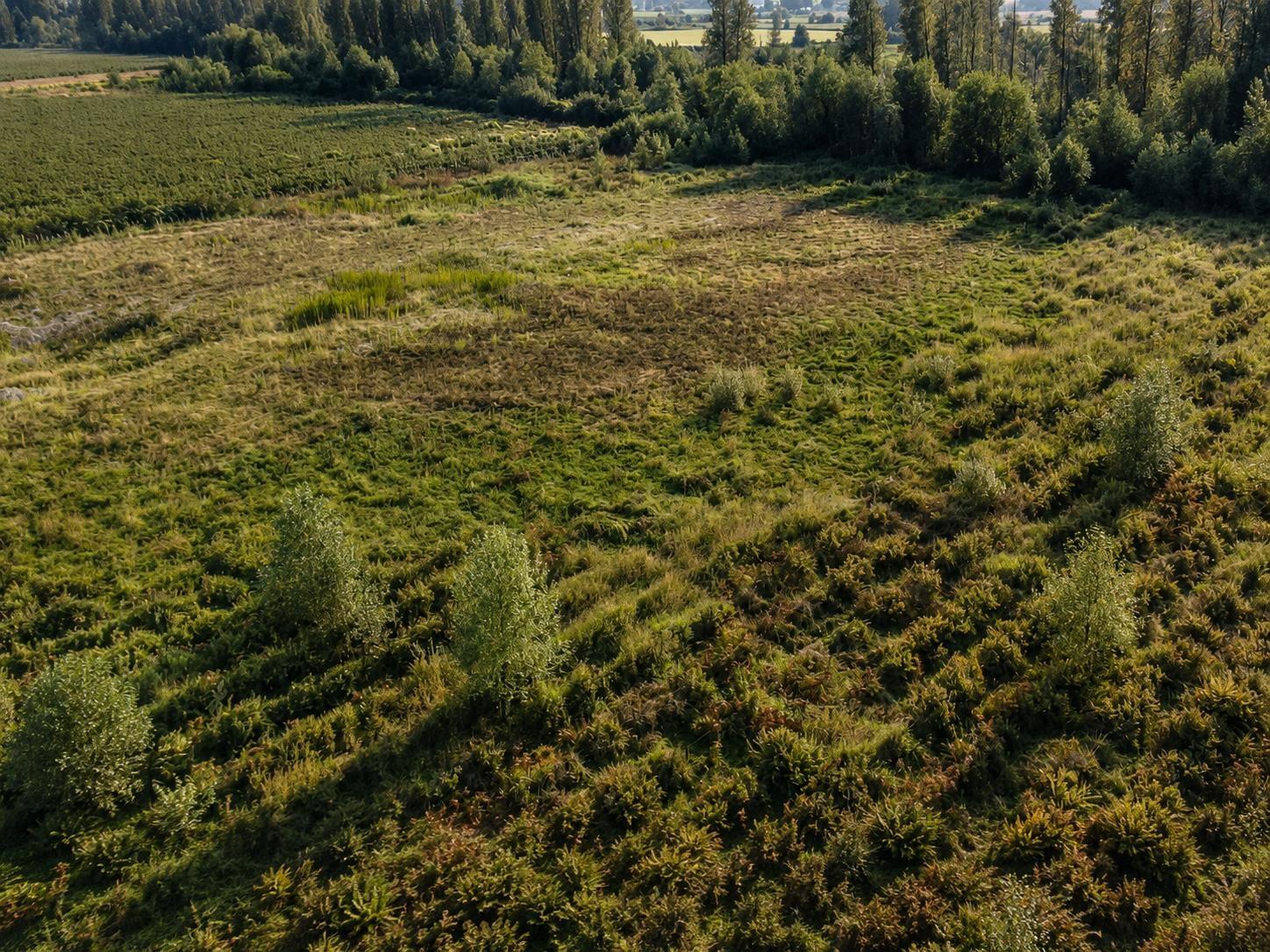 11185 Farms Road, Mission, British Columbia  V2V 4J1 - Photo 6 - R3161288