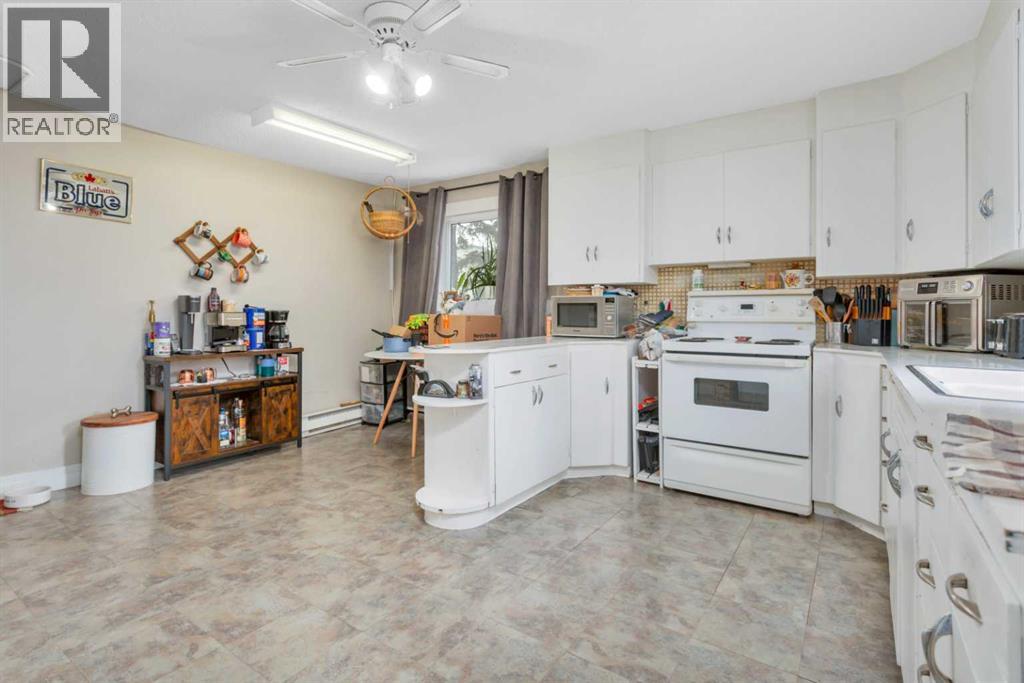 5020 51 Street, Rocky Mountain House, Alberta  T4T 1E2 - Photo 10 - A2342791