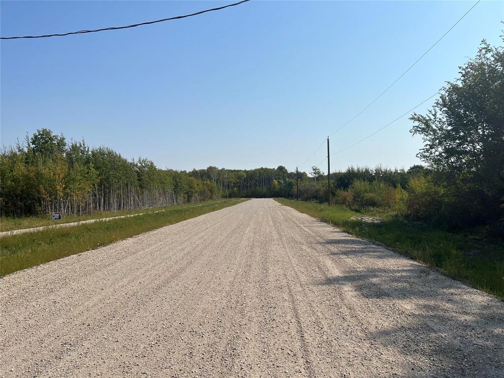 58 Cameron Drive, La Broquerie, Manitoba  R0A 0W2 - Photo 1 - 202622285
