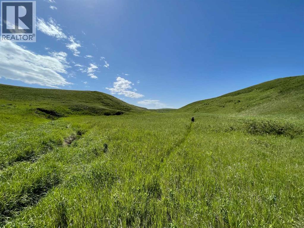 234 Range Road, Spring Coulee, Alberta  T0K 0K0 - Photo 6 - A2342853