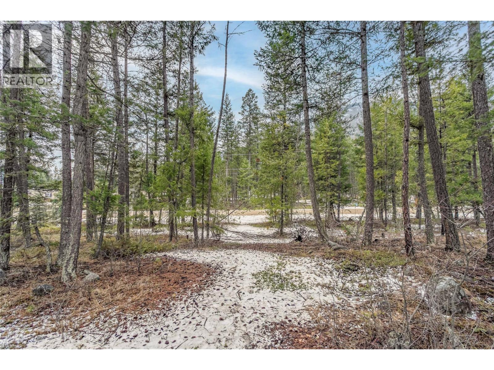 51 Pringle Road, Beaverdell, British Columbia V0H 1A0 - Photo 16 - 10380061