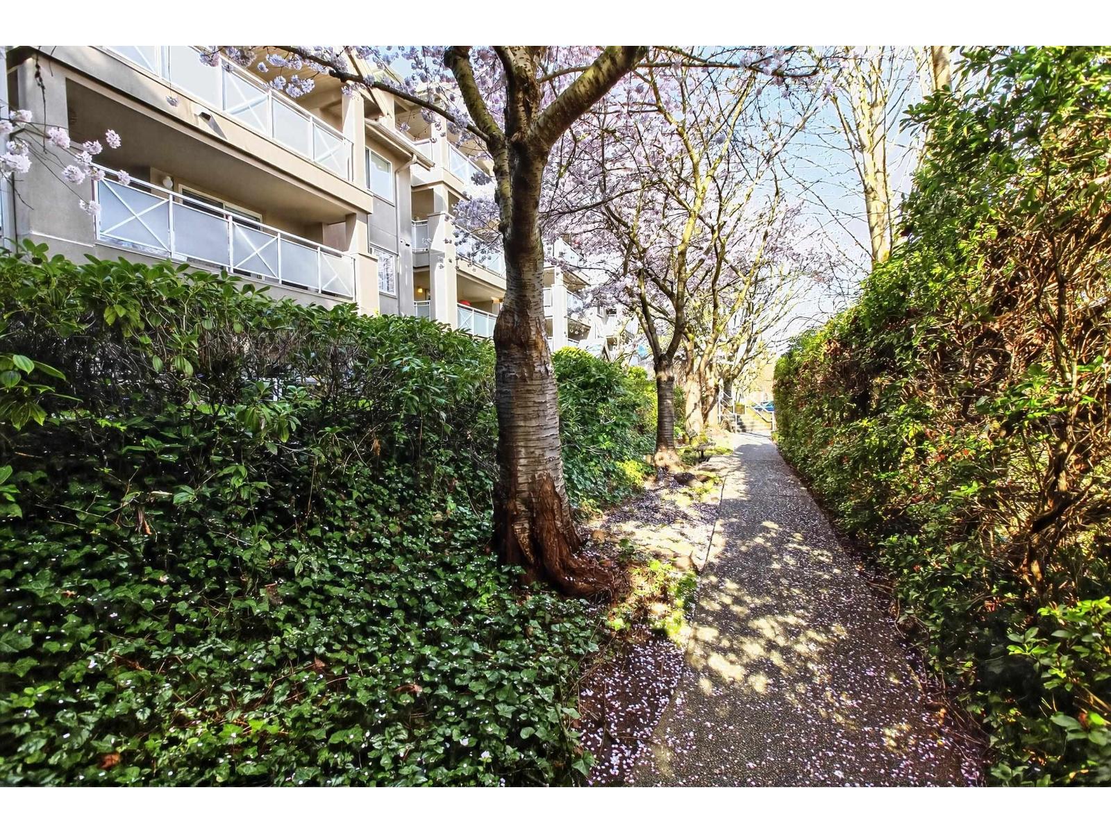 205 15140 29a Avenue, Surrey, British Columbia  V4P 3B1 - Photo 34 - R3161638
