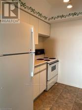 509 - 107 Bagot Street, Guelph, Ontario  N1H 8H5 - Photo 10 - X13747274