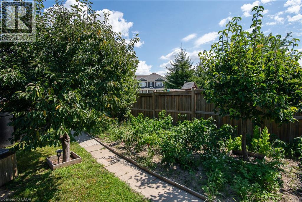 330 Grovehill Crescent, Kitchener, Ontario  N2R 0K2 - Photo 8 - 40858731