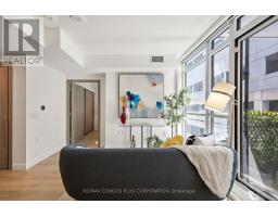 810 - 38 WIDMER STREET, Toronto, Ontario