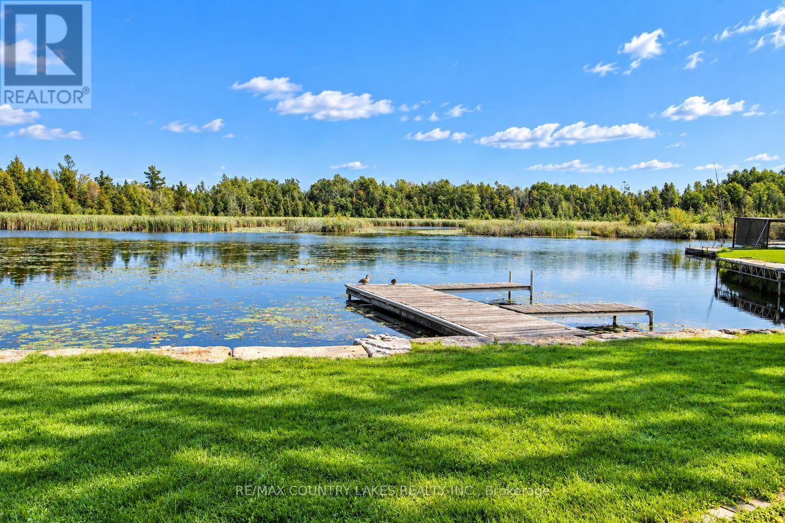 15 Trent View Road, Kawartha Lakes, Ontario  K0M 2B0 - Photo 36 - X13746578
