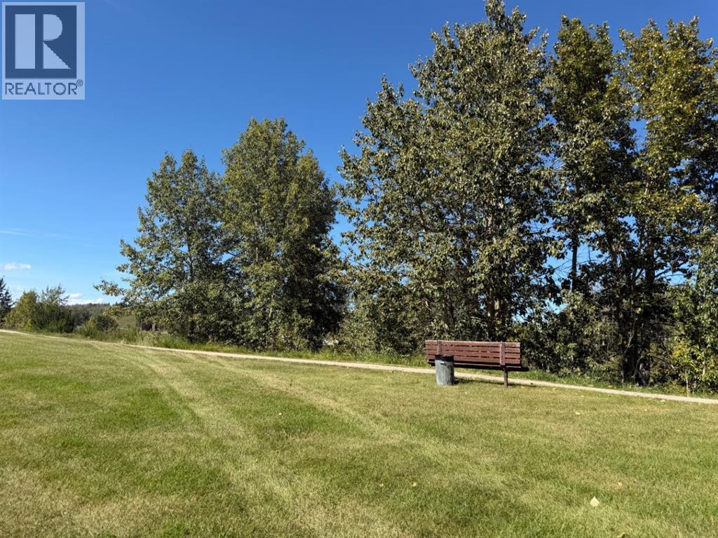 231 4 Street Nw, Sundre, Alberta  T0M 1X0 - Photo 7 - A2341733