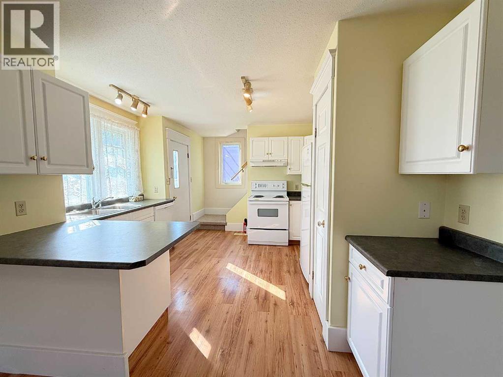 4310 50 Avenue, Athabasca, Alberta  T9S 1R1 - Photo 6 - A2342892