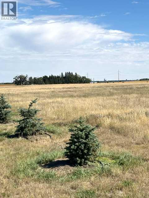 Near Coalhurst Rr223, Coalhurst, Alberta  T0L 0V2 - Photo 3 - A2342615