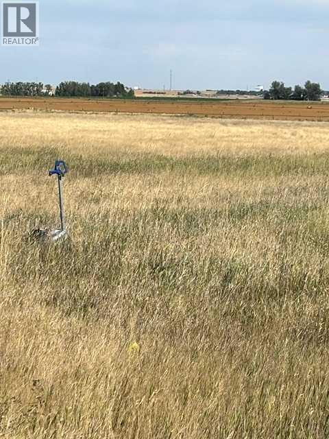 Near Coalhurst Rr223, Coalhurst, Alberta  T0L 0V2 - Photo 6 - A2342615