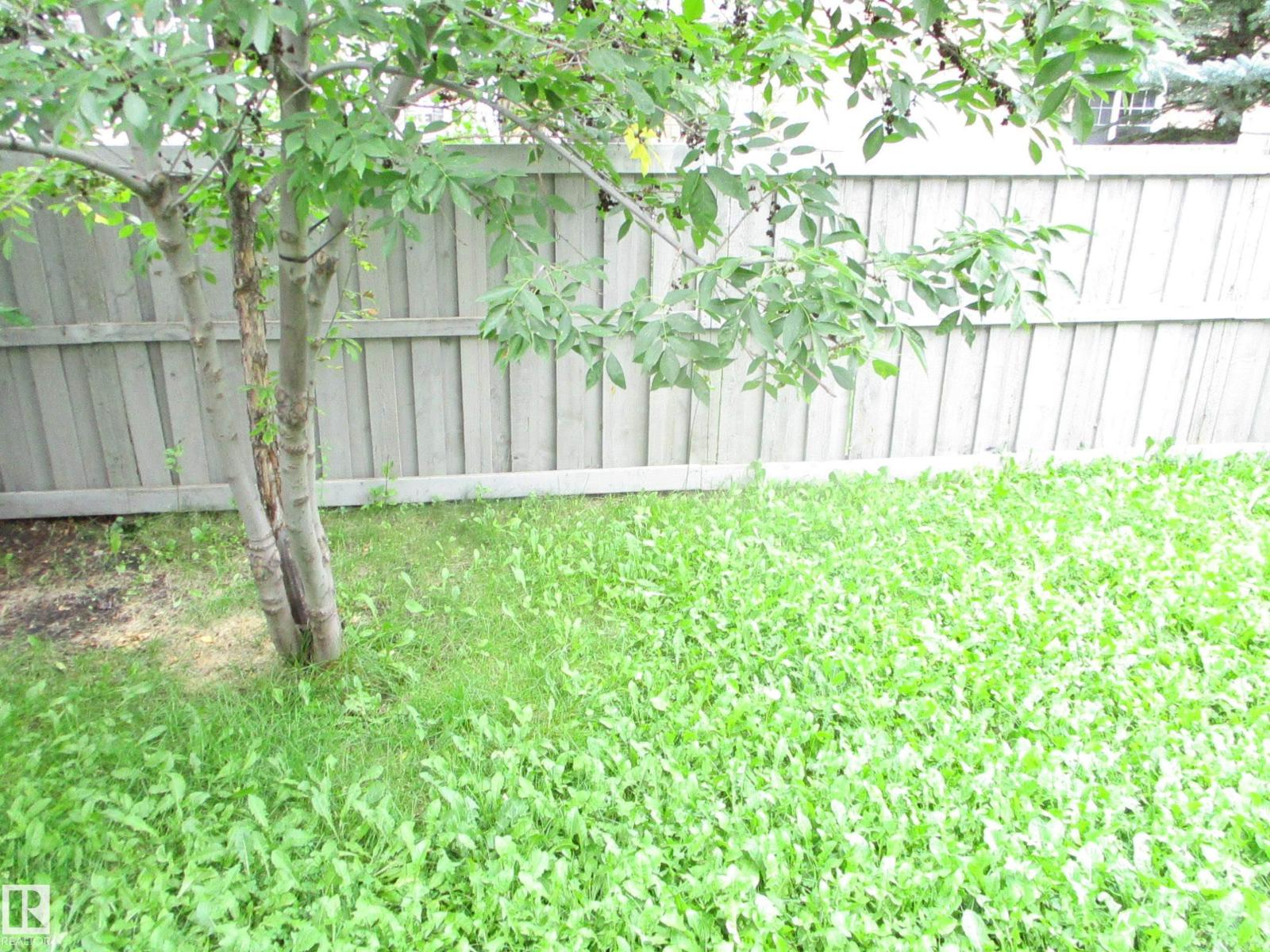 #37 287 Macewan Rd SW, Edmonton, Alberta  T6W 1T4 - Photo 9 - E4507209