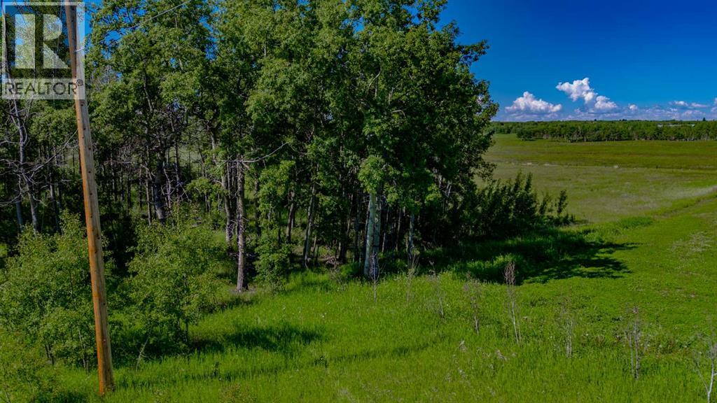 32103 Badger Road, Rural Rocky View County, Alberta  T4C 1A2 - Photo 40 - A2324830