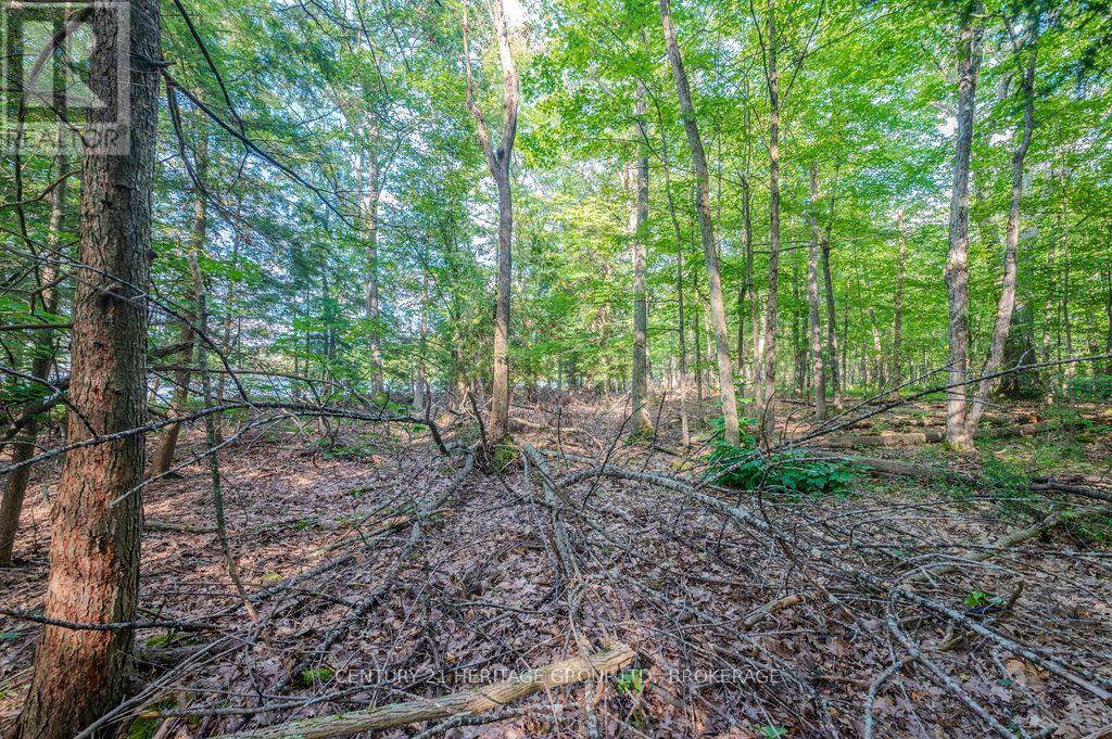 5243 Battersea Road, Frontenac, Ontario  K0H 1H0 - Photo 11 - X13747662