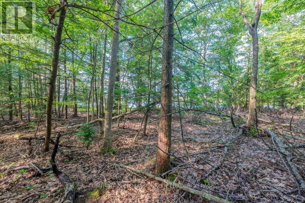 5243 Battersea Road, Frontenac, Ontario  K0H 1H0 - Photo 12 - X13747662