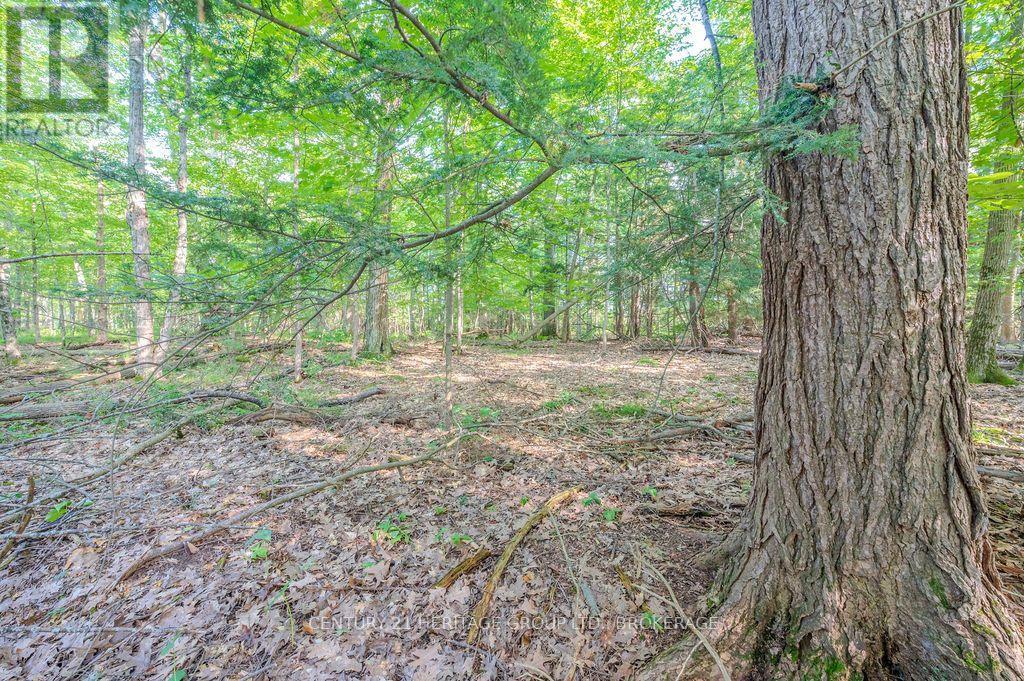 5243 Battersea Road, Frontenac, Ontario  K0H 1H0 - Photo 15 - X13747662