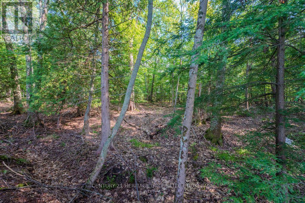 5243 Battersea Road, Frontenac, Ontario  K0H 1H0 - Photo 20 - X13747662