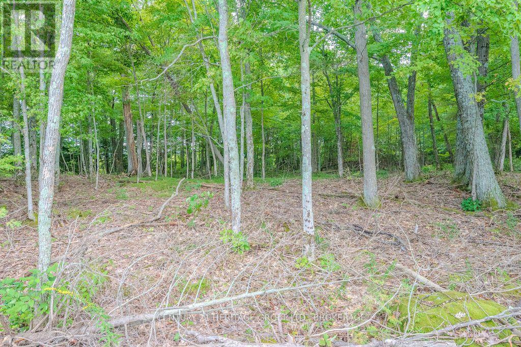 5243 Battersea Road, Frontenac, Ontario  K0H 1H0 - Photo 21 - X13747662