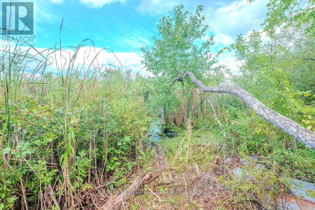5243 Battersea Road, Frontenac, Ontario  K0H 1H0 - Photo 23 - X13747662
