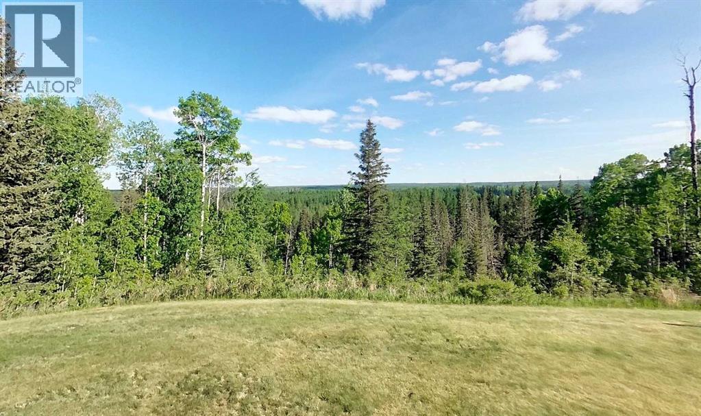 16203b Hwy 748 E, Rural Yellowhead County, Alberta  T7E 3V6 - Photo 7 - A2317960