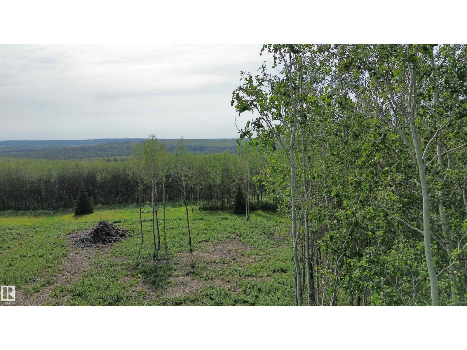 Twp Rd 505, Rural Brazeau County, Alberta  T7A 2A2 - Photo 18 - E4507218