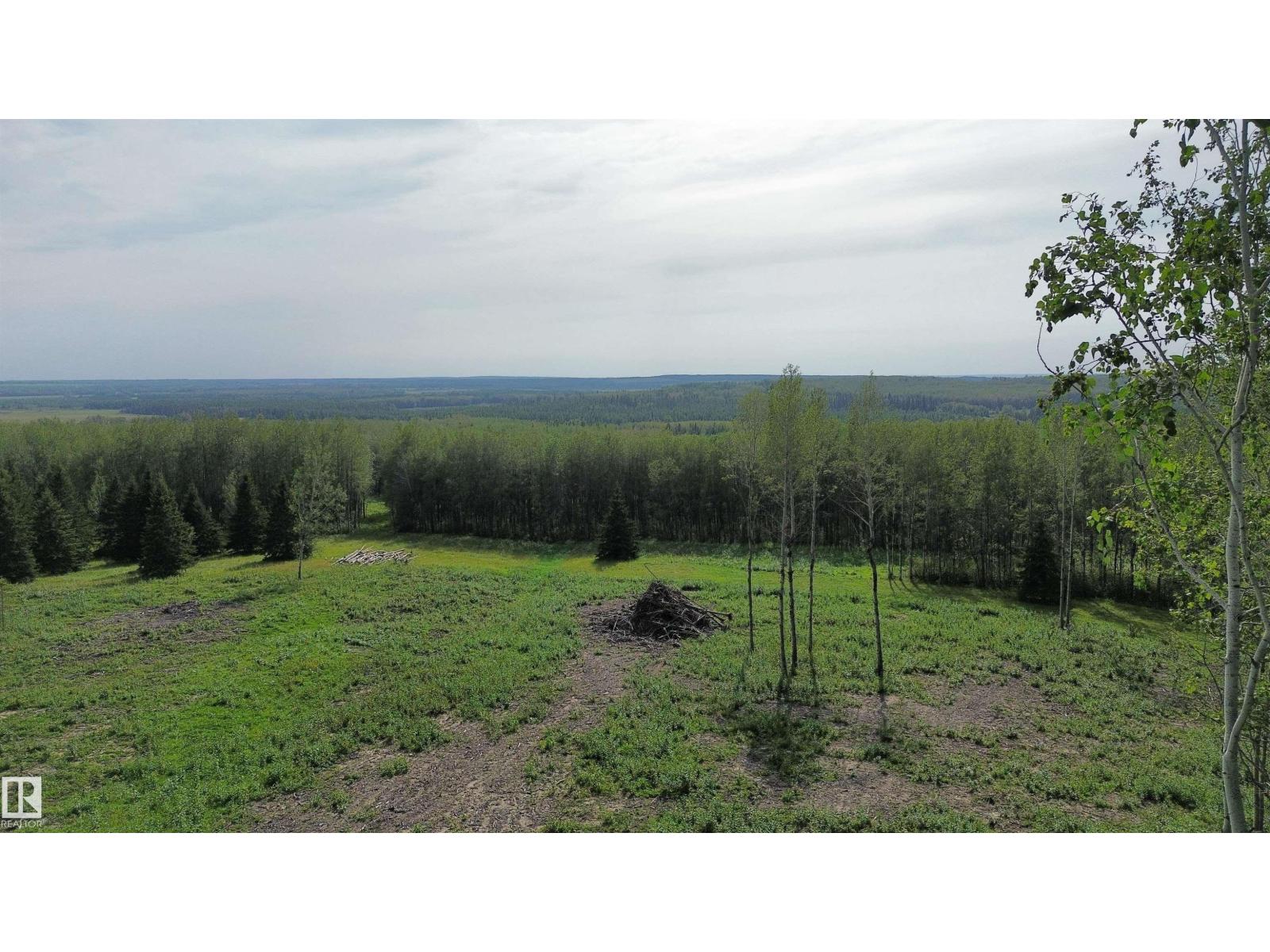 Twp Rd 505, Rural Brazeau County, Alberta  T7A 2A2 - Photo 20 - E4507218