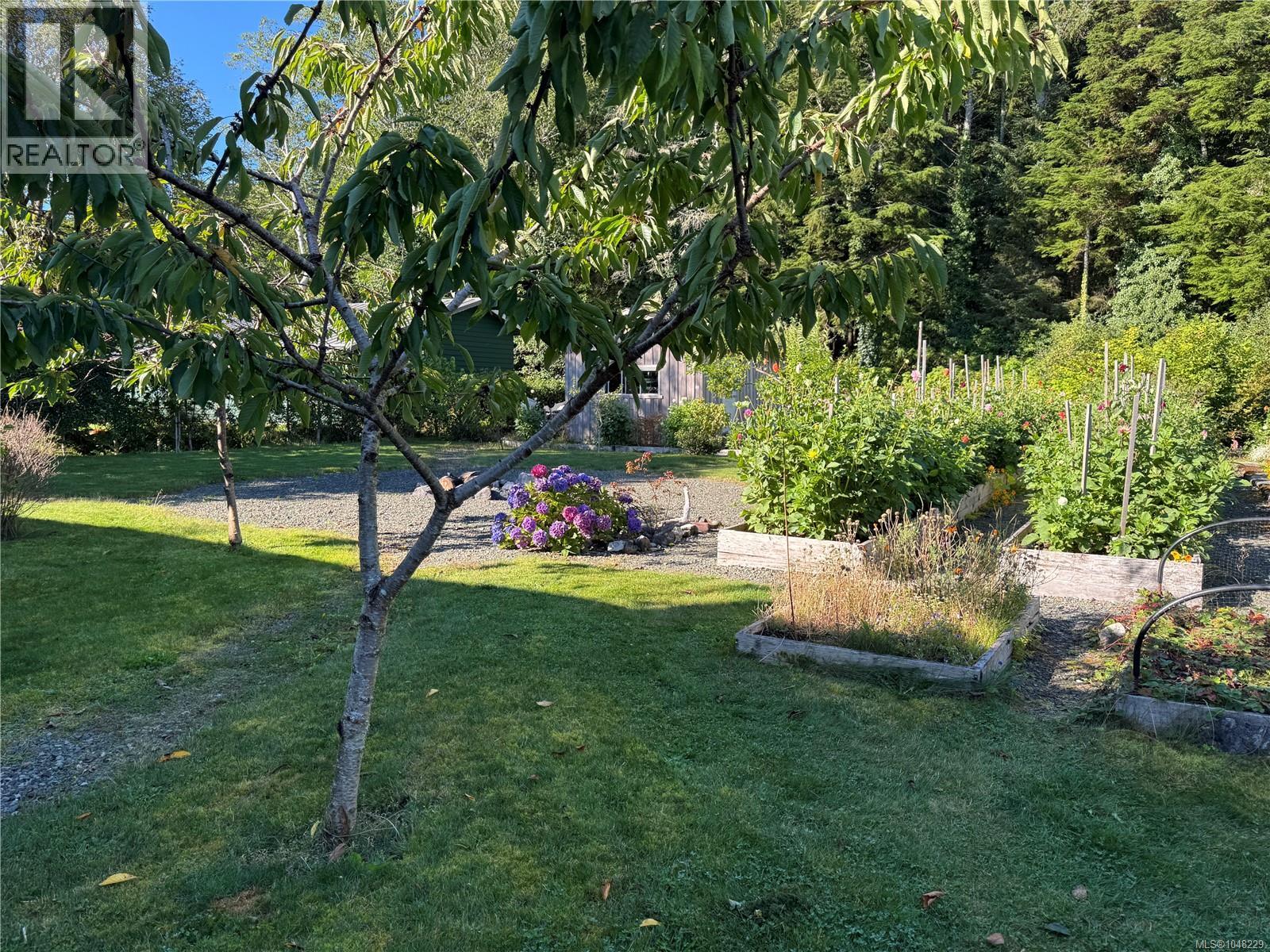 6420 Chatham Ave, Port Hardy, British Columbia  V0N 2P0 - Photo 41 - 1048229
