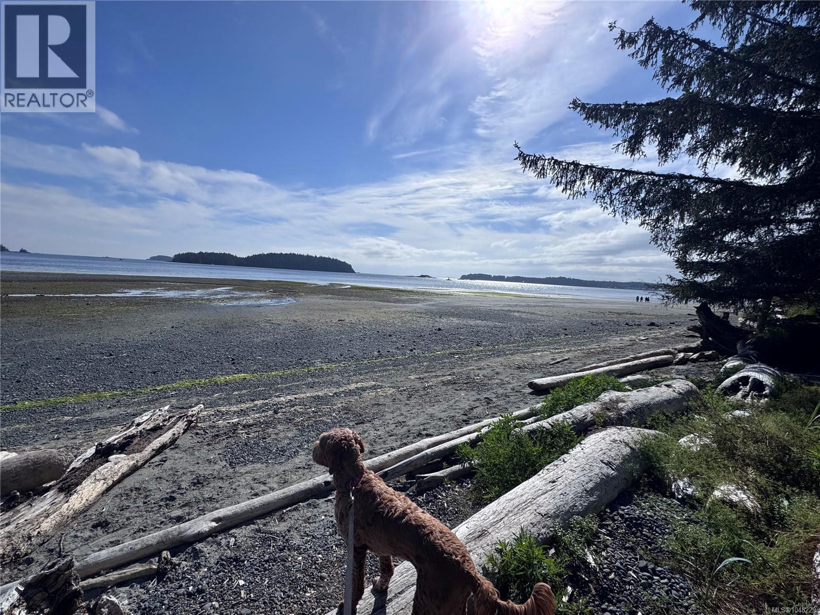 6420 Chatham Ave, Port Hardy, British Columbia  V0N 2P0 - Photo 16 - 1048229