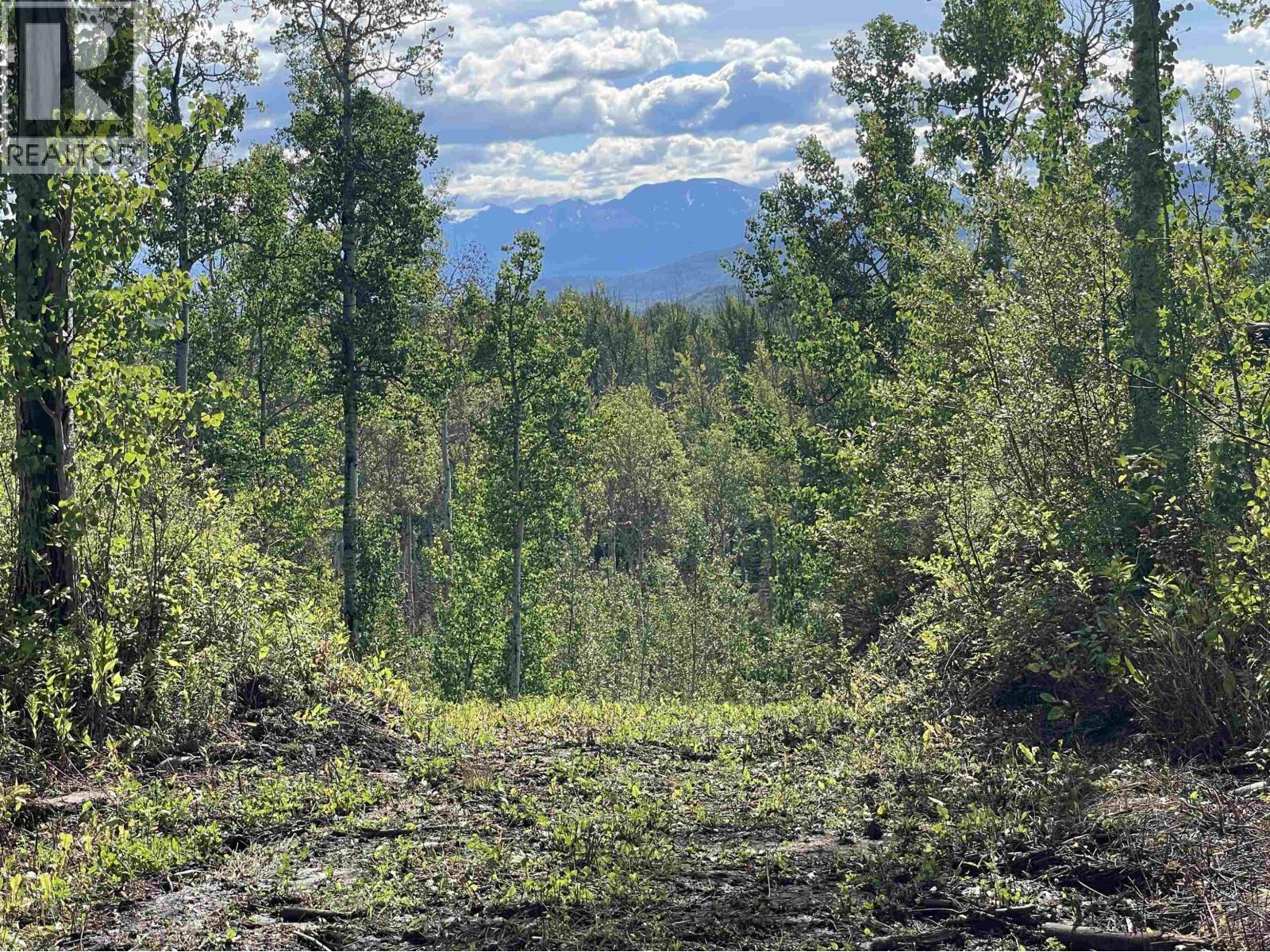 Lot 4 N Viewmount Road, Smithers, British Columbia V0J 2N6 - Photo 8 - R3161473
