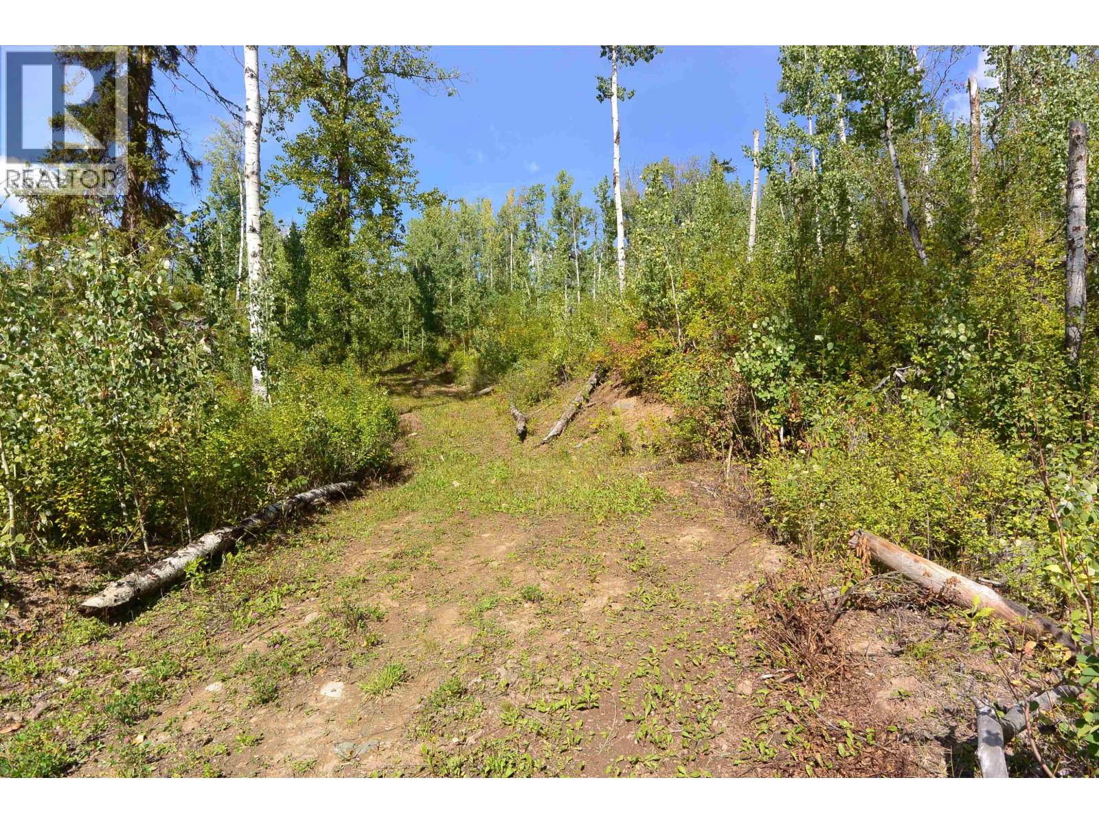 Lot 4 N Viewmount Road, Smithers, British Columbia V0J 2N6 - Photo 9 - R3161473