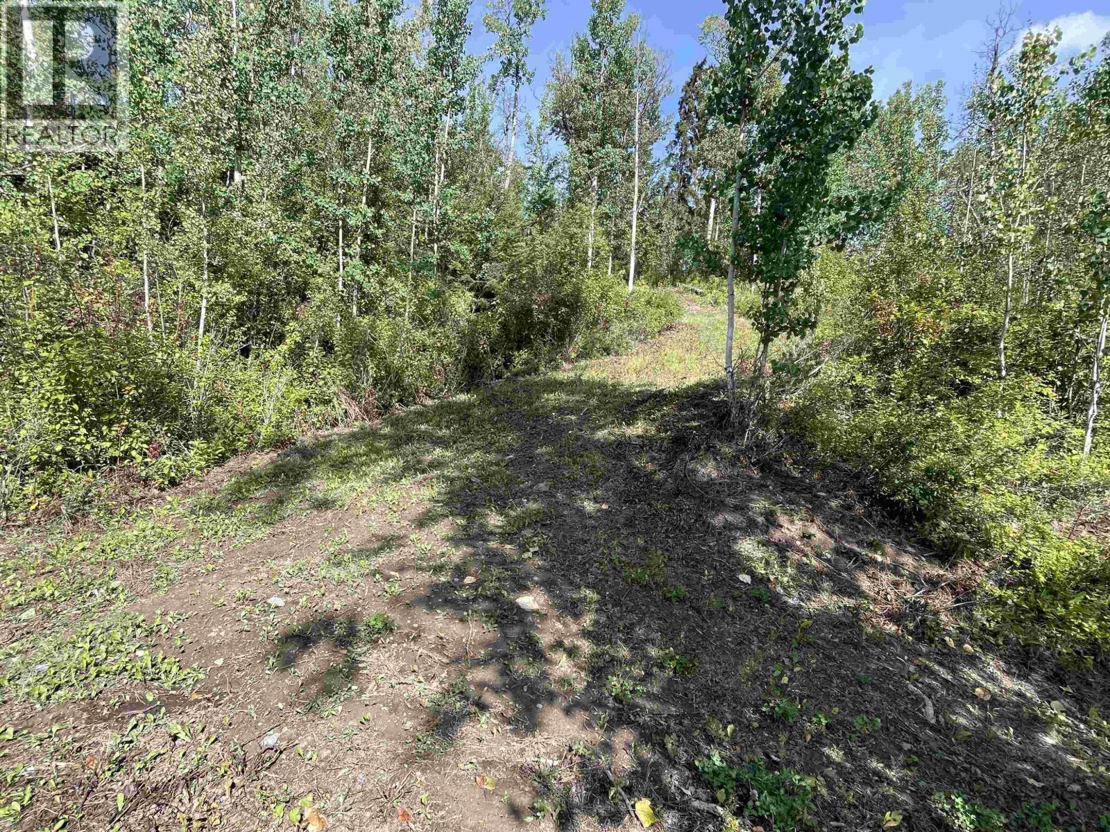 Lot 4 N Viewmount Road, Smithers, British Columbia V0J 2N6 - Photo 10 - R3161473