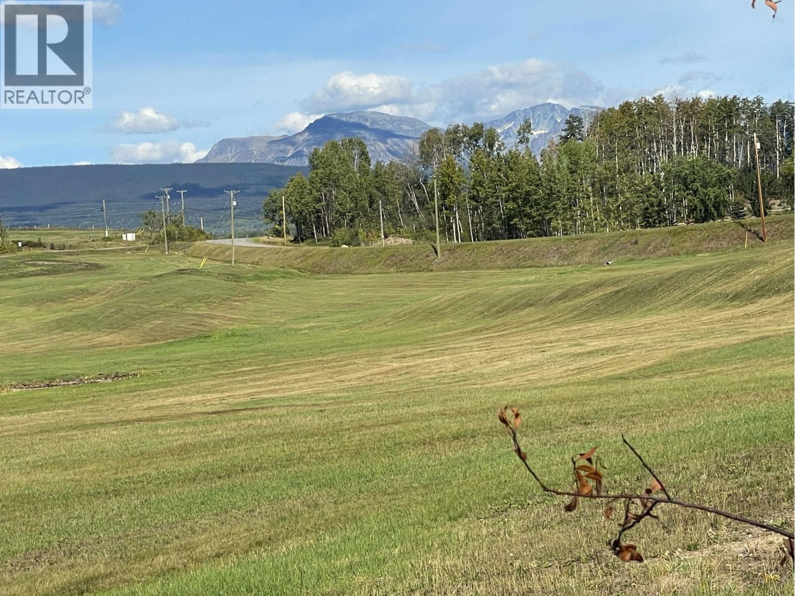 Lot 4 N Viewmount Road, Smithers, British Columbia V0J 2N6 - Photo 37 - R3161473