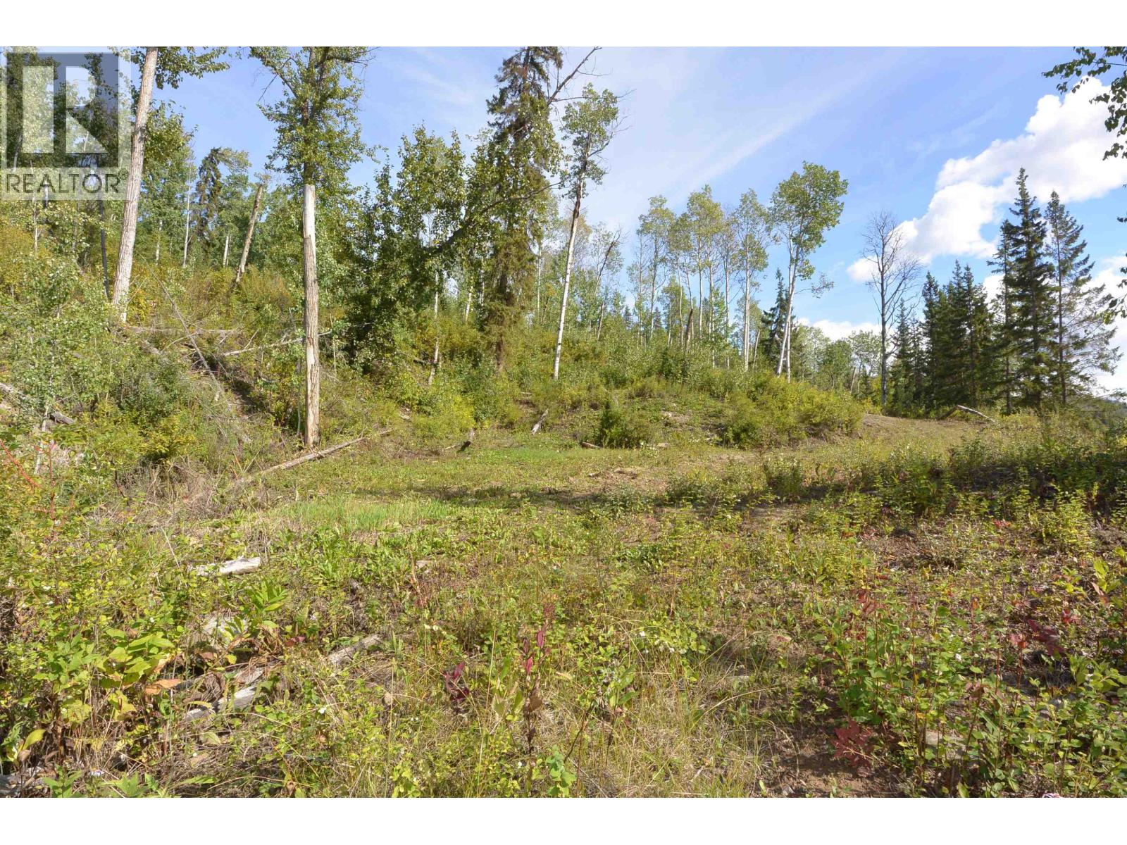 Lot 4 N Viewmount Road, Smithers, British Columbia V0J 2N6 - Photo 17 - R3161473