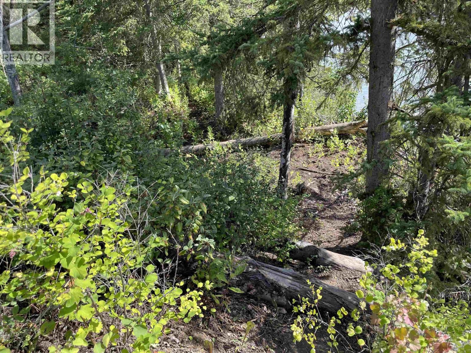 Lot 4 N Viewmount Road, Smithers, British Columbia V0J 2N6 - Photo 33 - R3161473