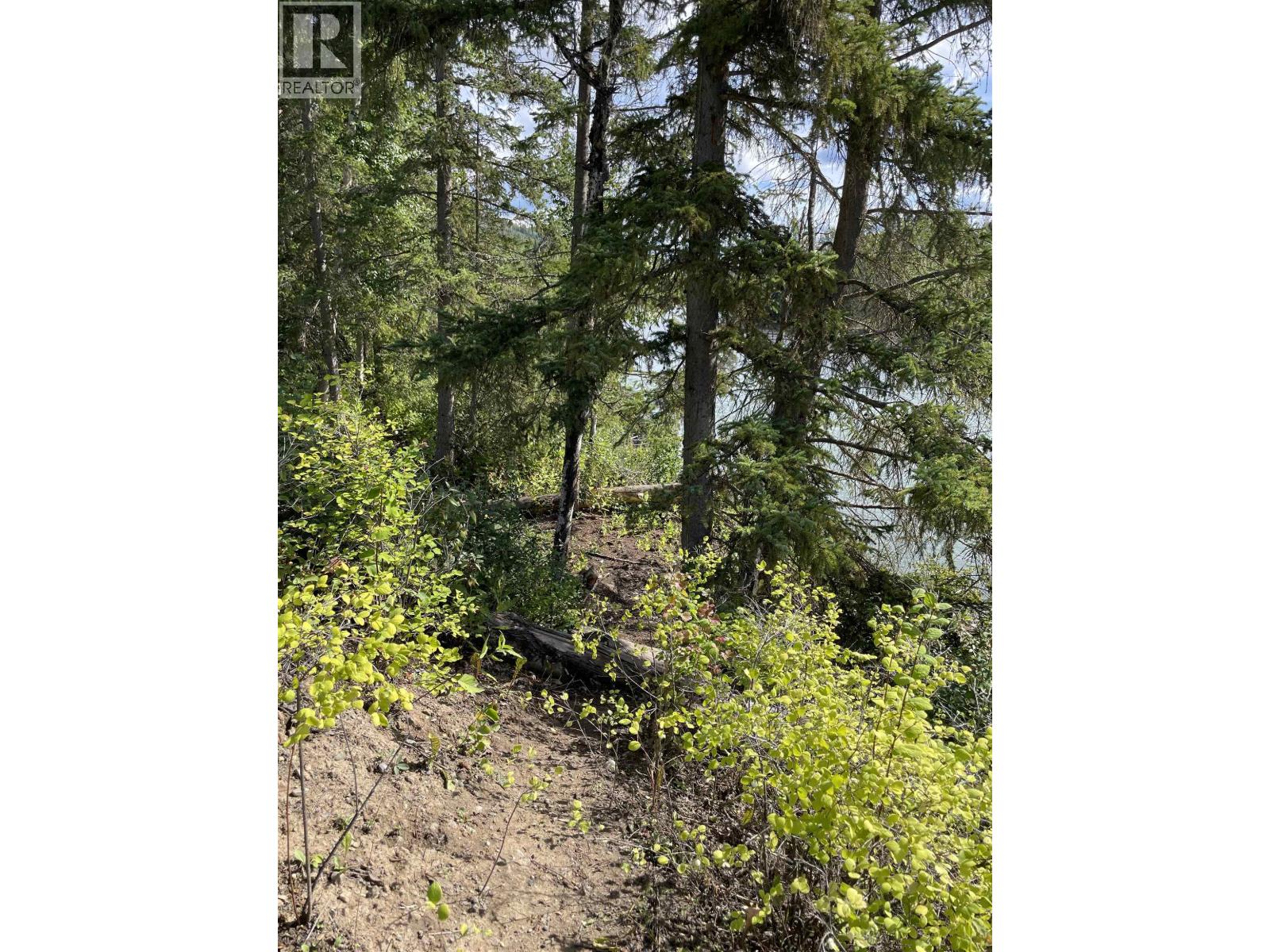 Lot 4 N Viewmount Road, Smithers, British Columbia V0J 2N6 - Photo 34 - R3161473