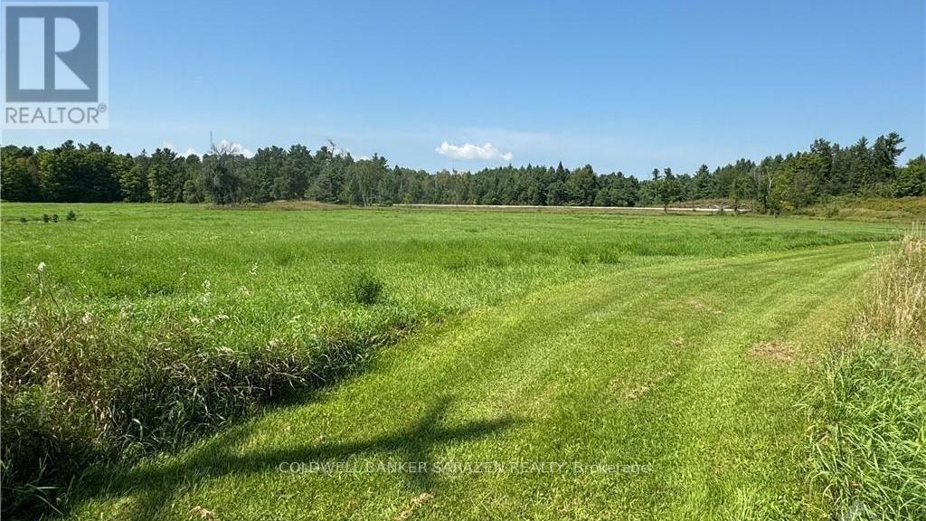 0 Bandy's Road, Mcnab/braeside, Ontario K7S 3G8 - Photo 2 - X13747816