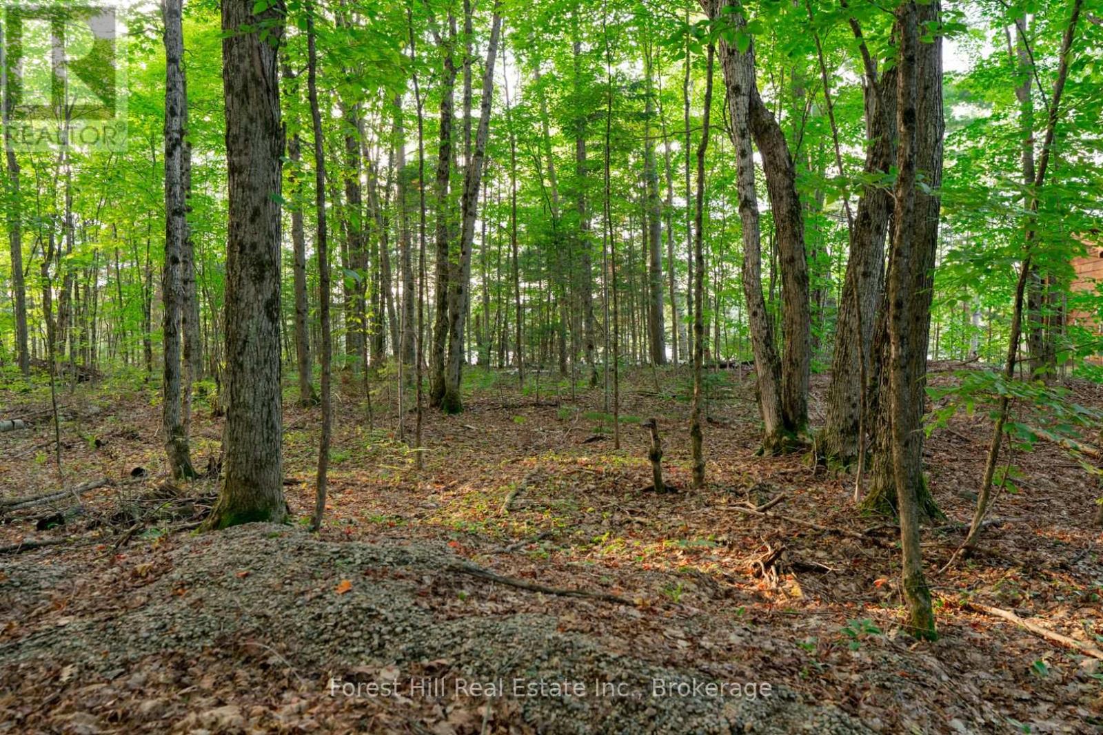 1155 Wolf Circle, Algonquin Highlands, Ontario  P0A 1E0 - Photo 42 - X13747820