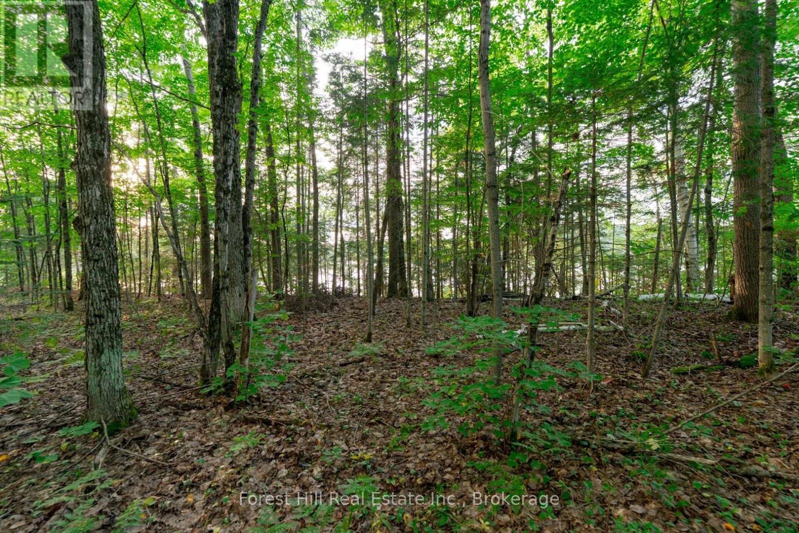 1155 Wolf Circle, Algonquin Highlands, Ontario  P0A 1E0 - Photo 43 - X13747820