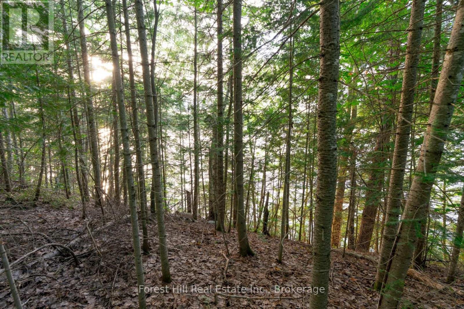 1155 Wolf Circle, Algonquin Highlands, Ontario  P0A 1E0 - Photo 44 - X13747820